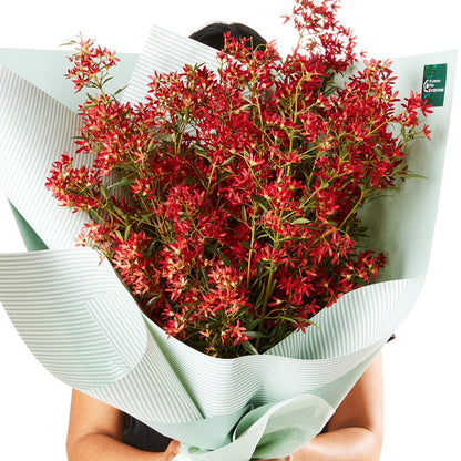 Christmas Bush Bouquet