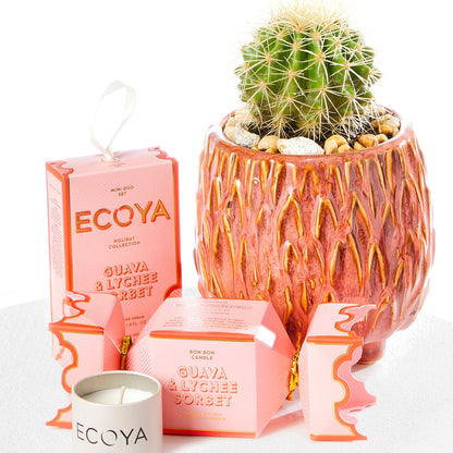 Cactus & Ecoya Holiday Collection