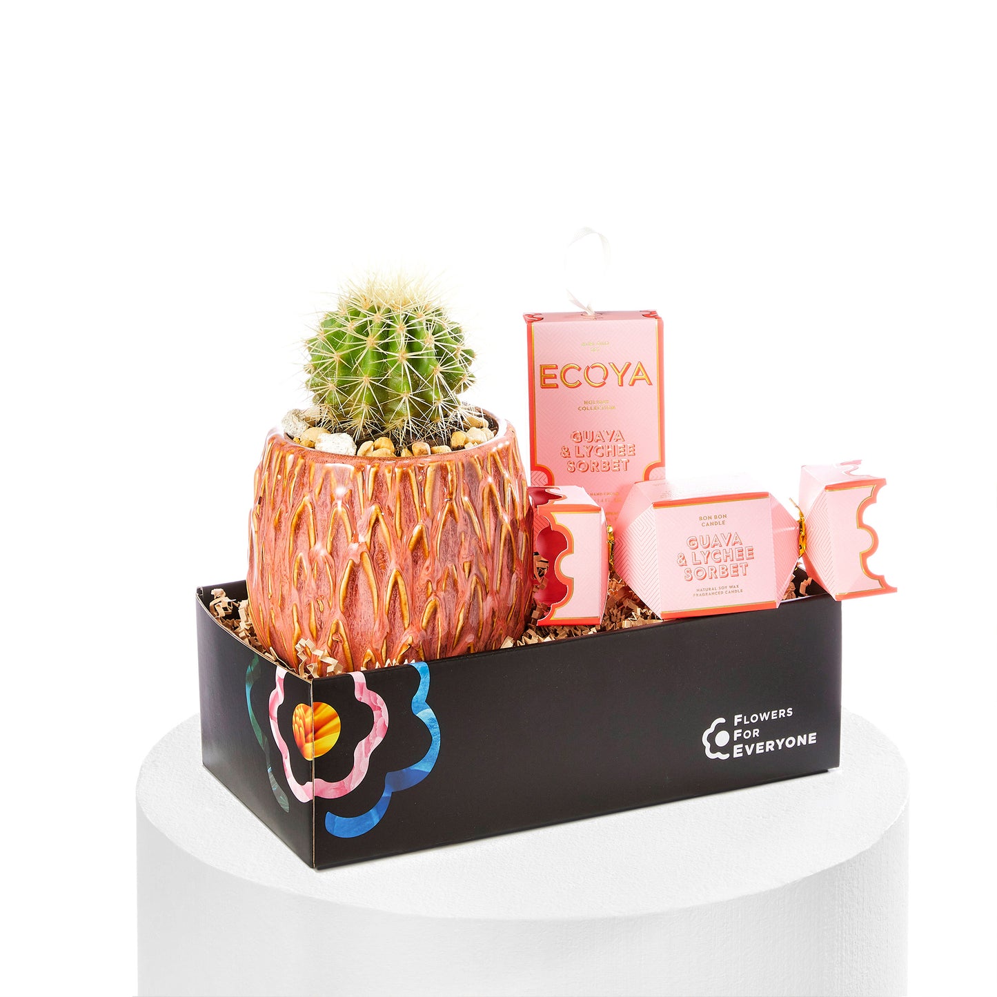 Cactus & Ecoya Holiday Collection