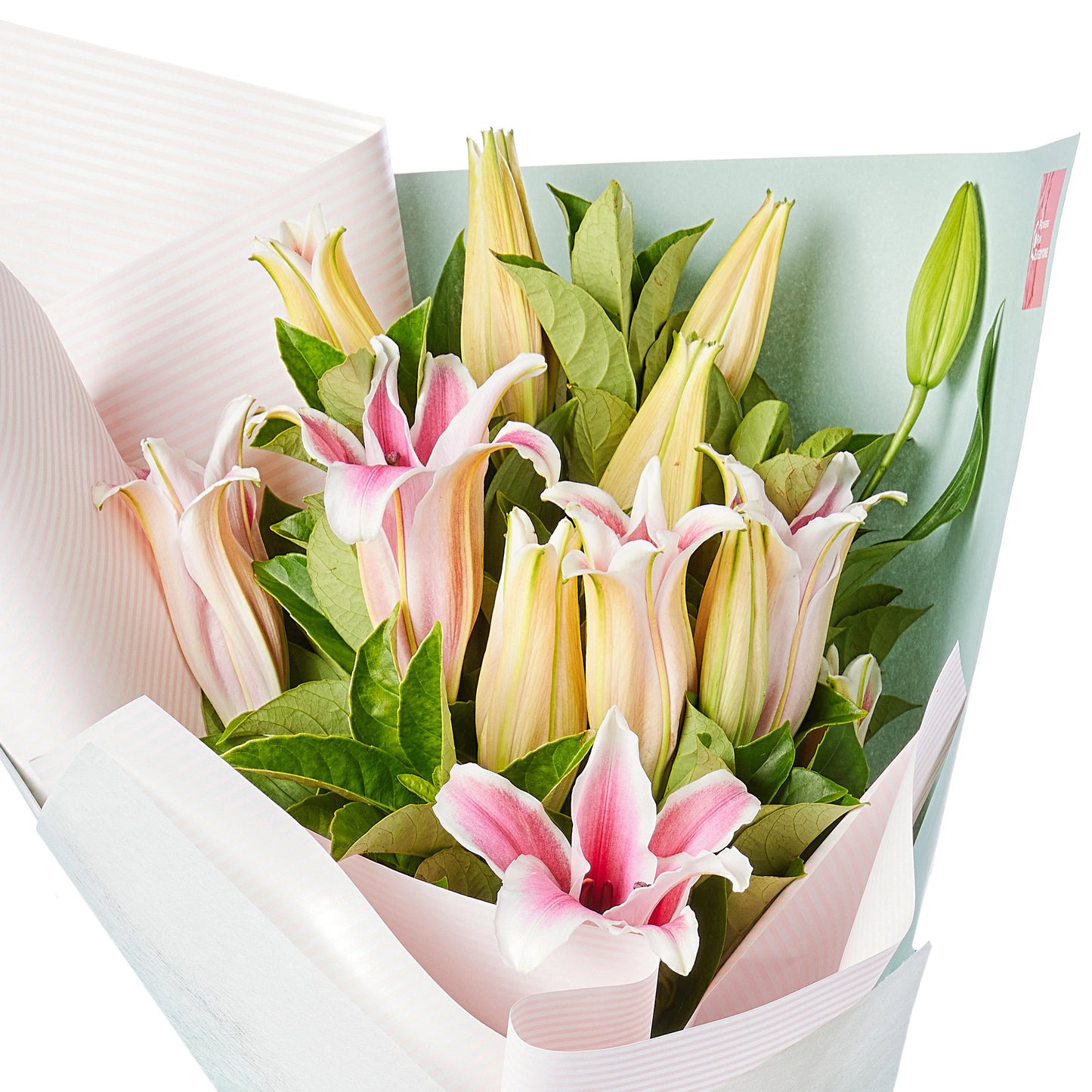 Perfumed Pink Oriental Lilies