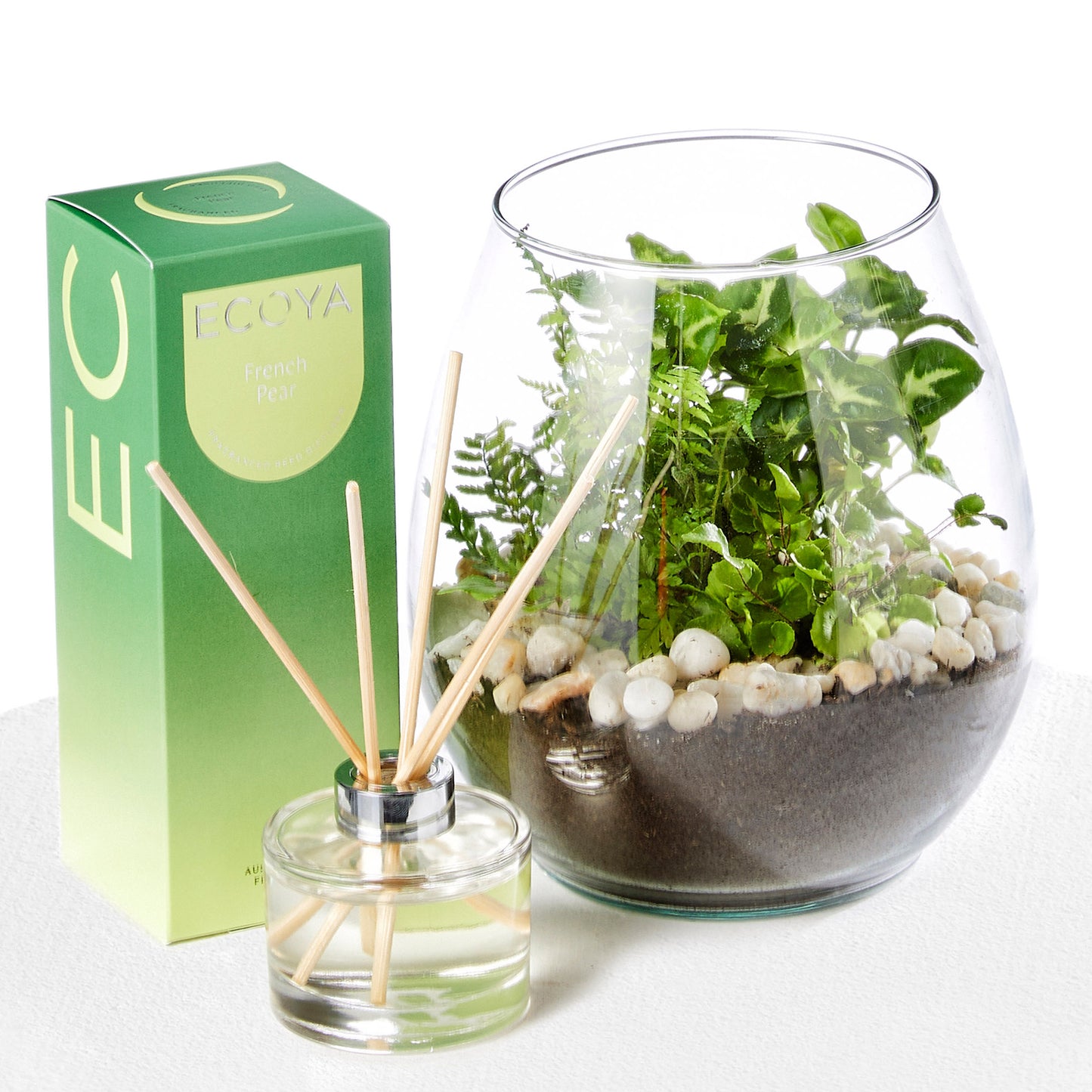 Terrarium & Ecoya Gift Set