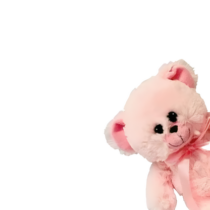 Pink Teddy 20cm