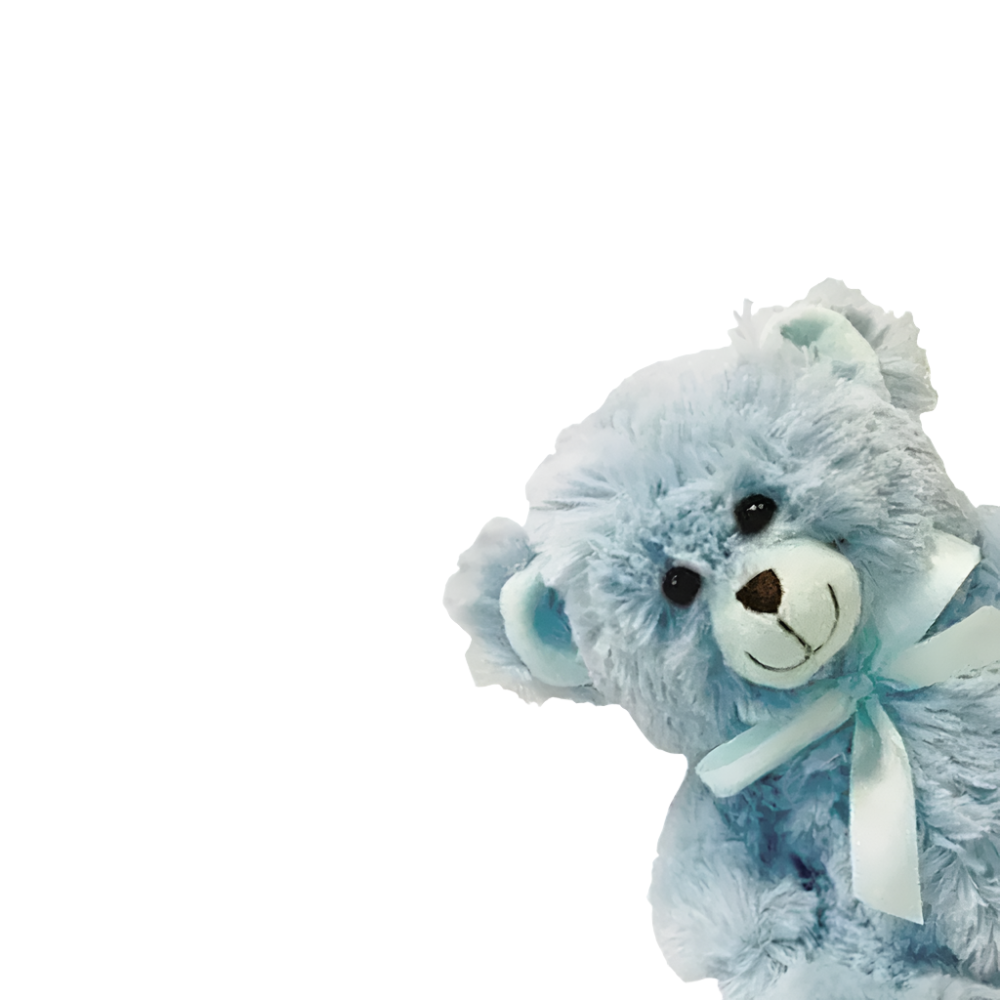 Blue Teddy 30cm