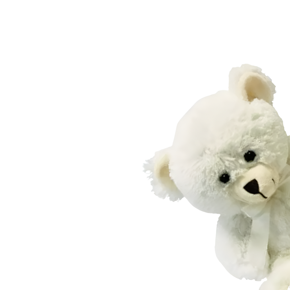 White Teddy 20cm