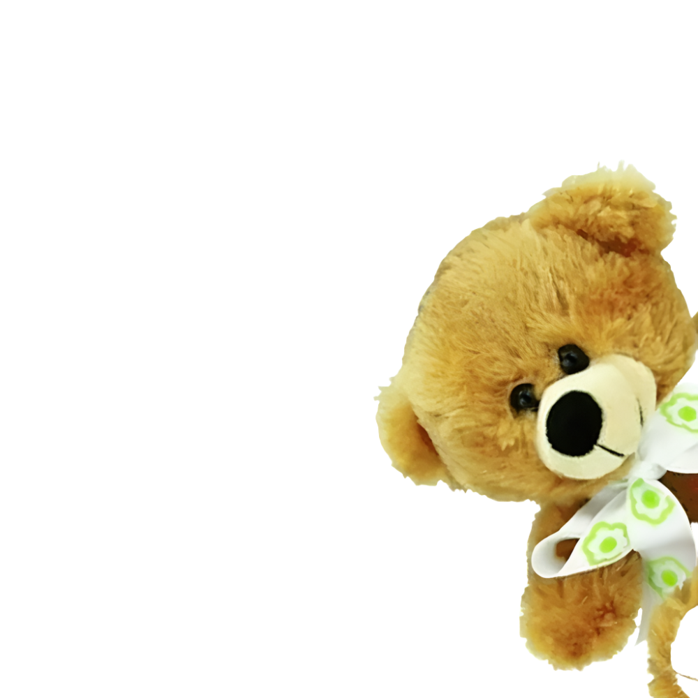 Brown Bear 20cm