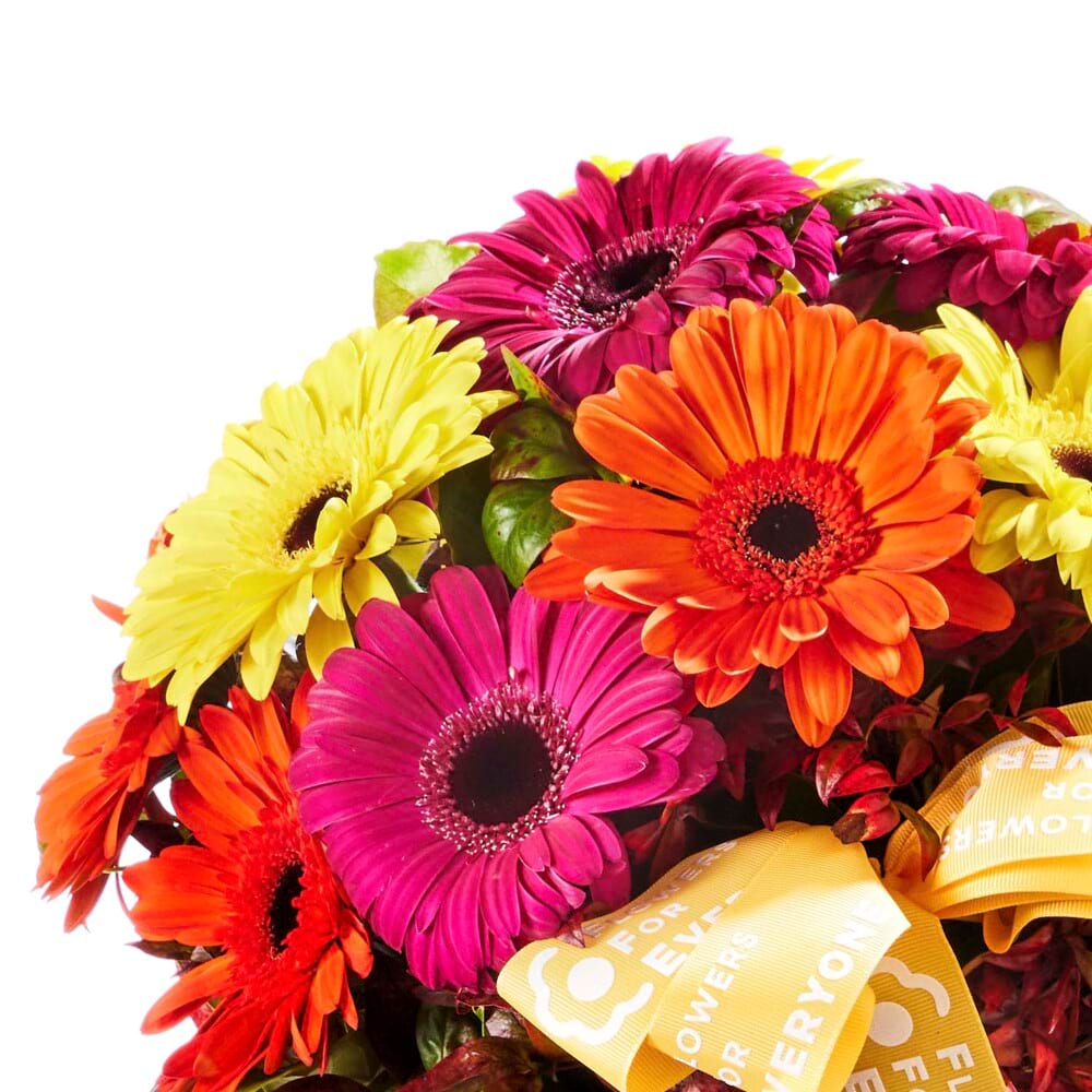 Fresh Gerbera Basket