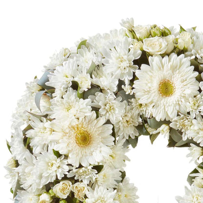 White Gerbera and Rose Wreath