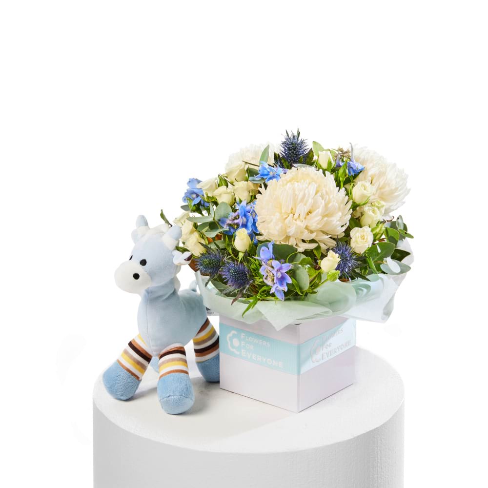 Dreamy Blue Baby Gift