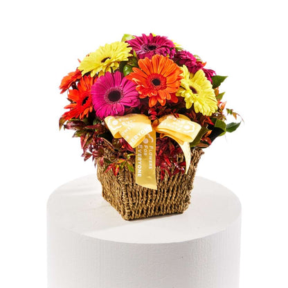 Fresh Gerbera Basket