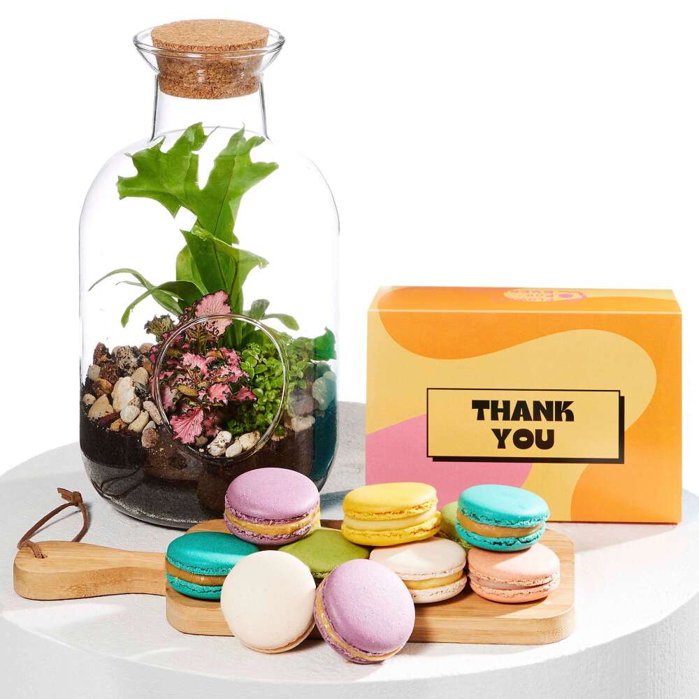 Terrarium Thankful Duo