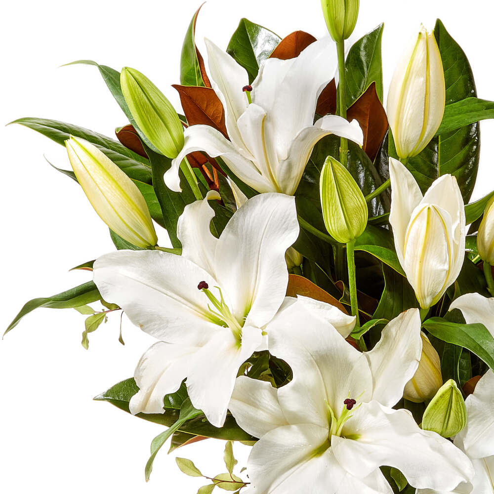 Peaceful White Lily Vase