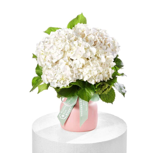 Ivory Lane Hydrangea Pot