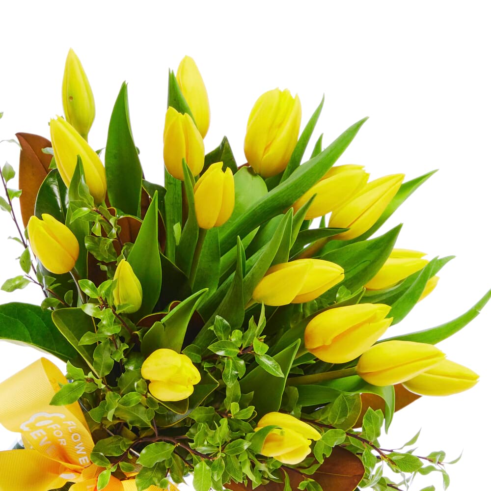 Yellow Tulips in Vase