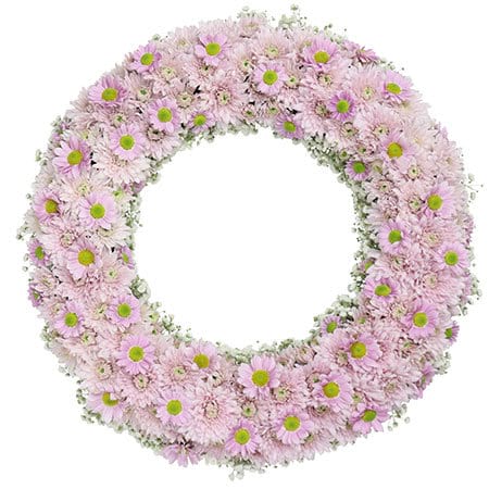 Precious Pink Daisy Wreath