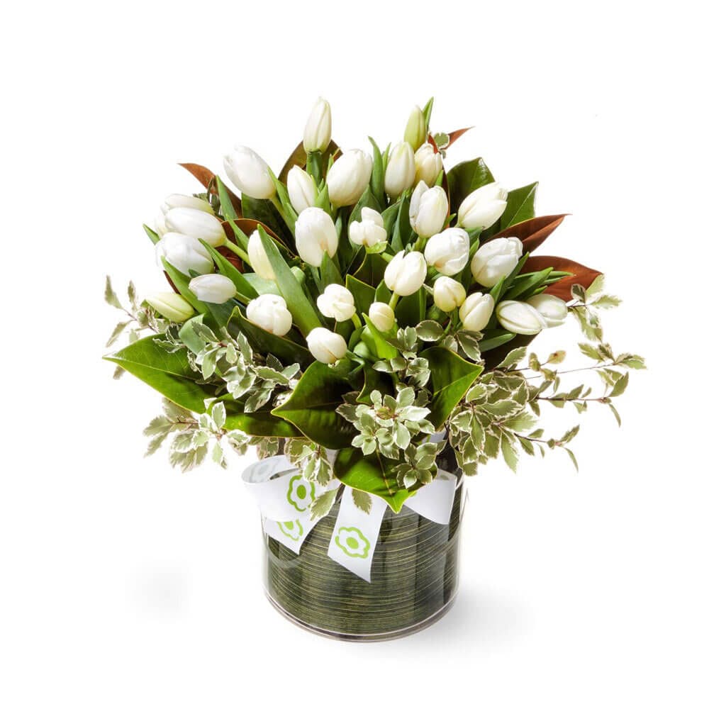 Premium White Tulip Vase