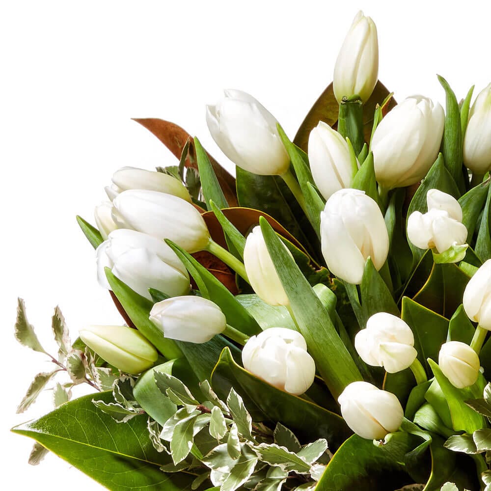 Premium White Tulip Vase