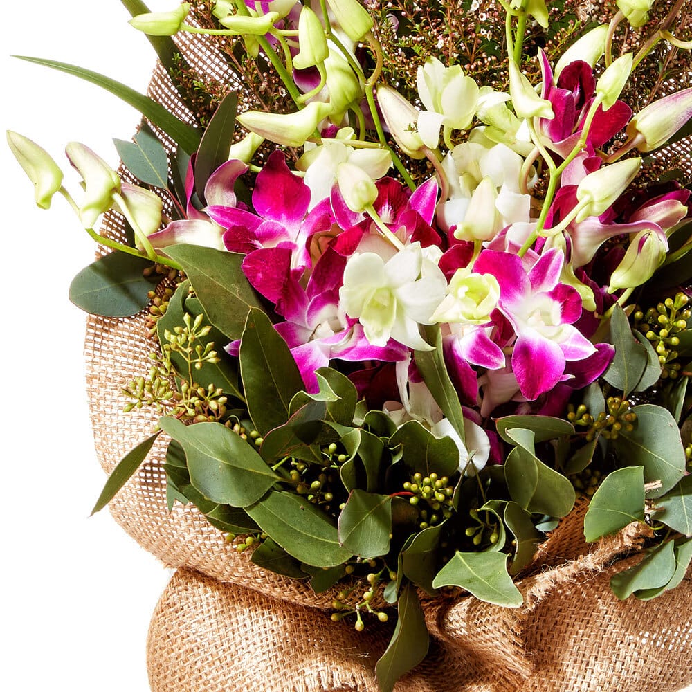 Lush Orchid Posy