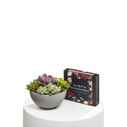 Stylish Succulent Bowl