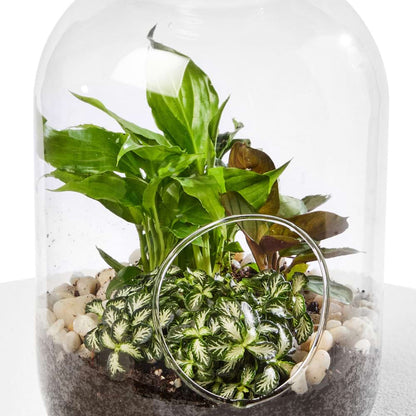 Terrarium Treasure