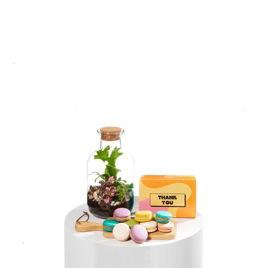 Terrarium Thankful Duo