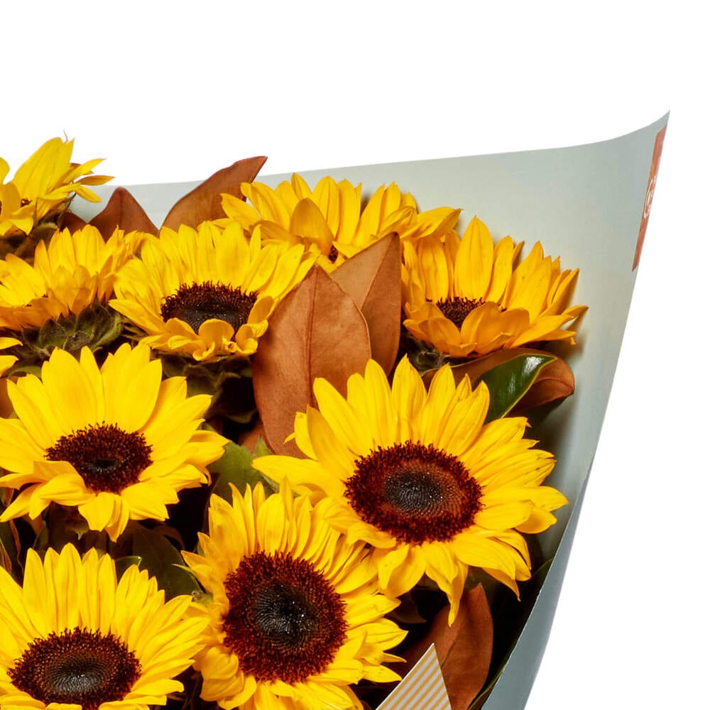 Beautiful Dozen Sunflower Bouquet